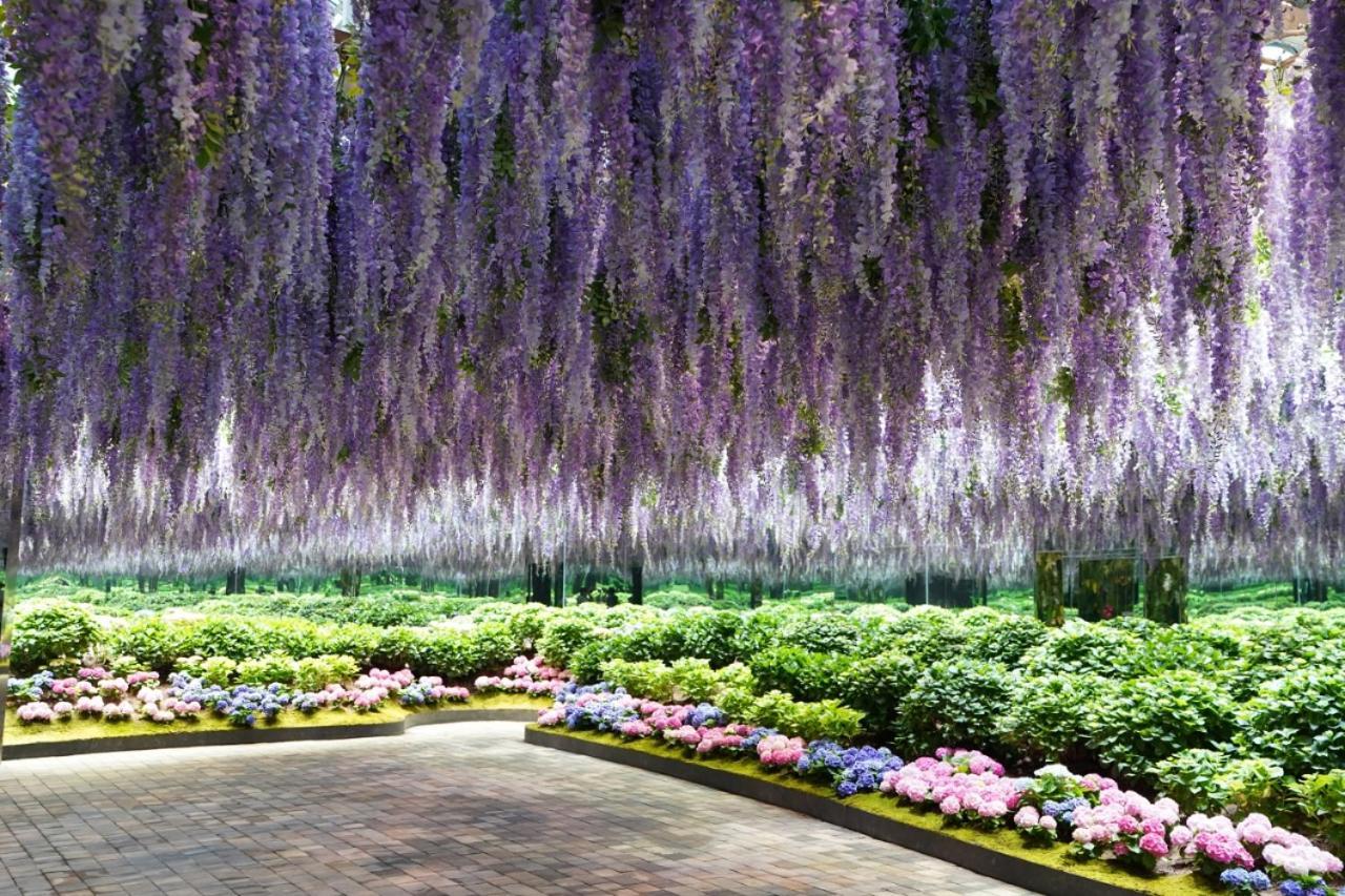 Kensington Resort Gapyeong Εξωτερικό φωτογραφία