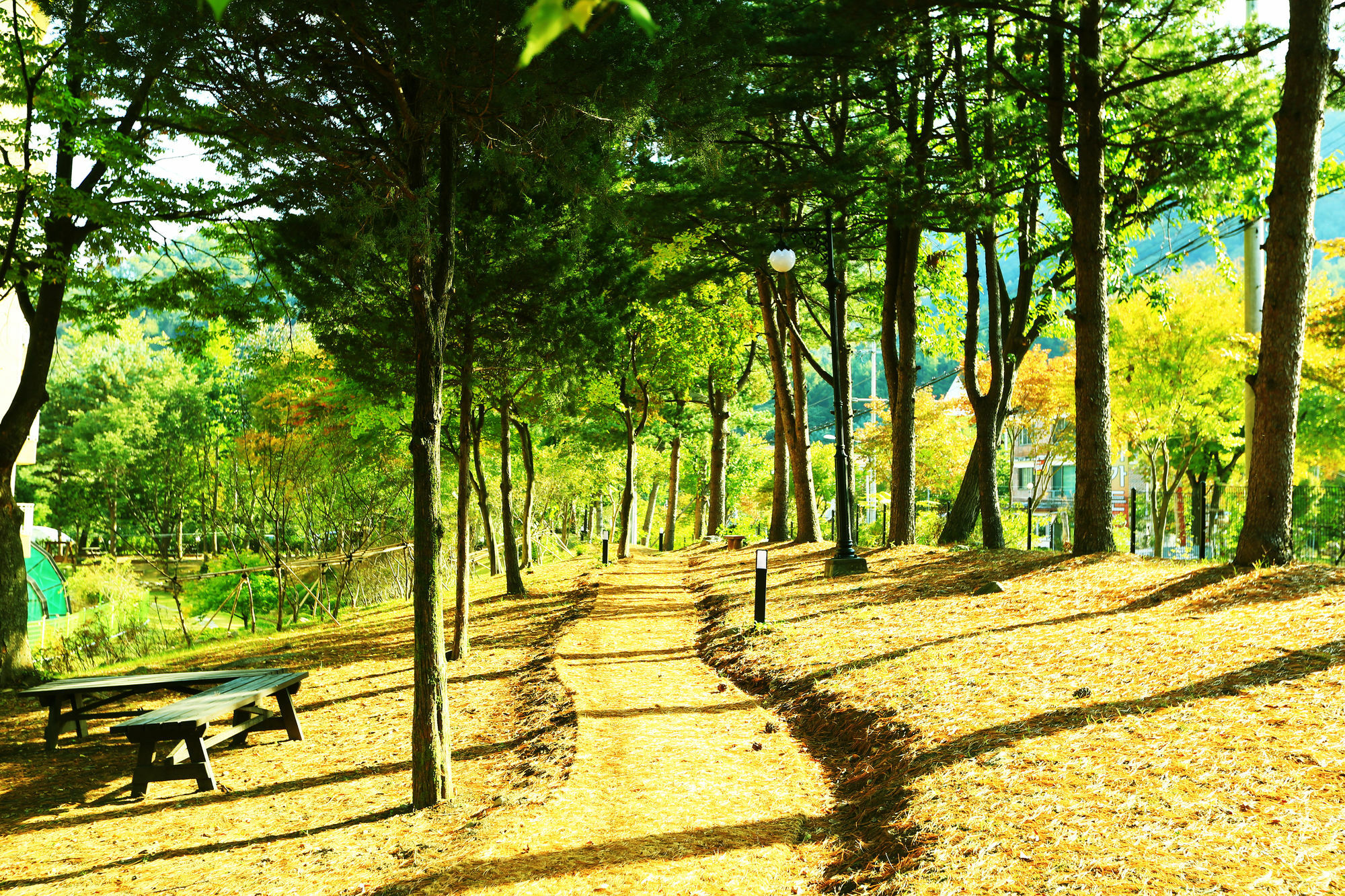 Kensington Resort Gapyeong Εξωτερικό φωτογραφία